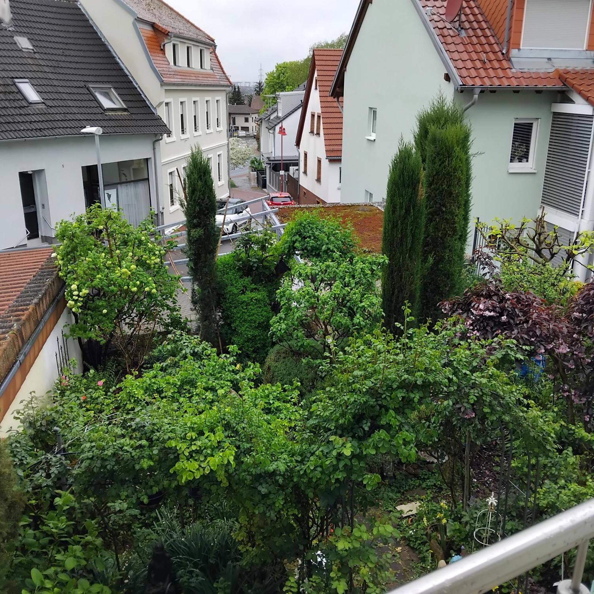 Apartamento Residenz Am Berg Leimen  Exterior foto